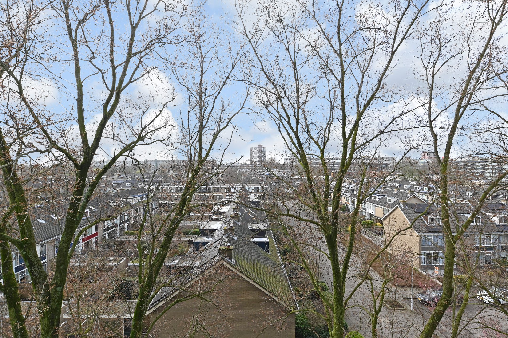 Foto 27 van Alexanderstraat 107