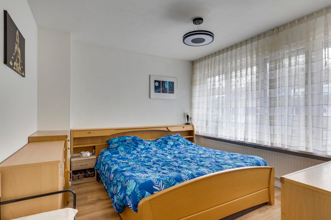 Photo 13 of Sirius 16