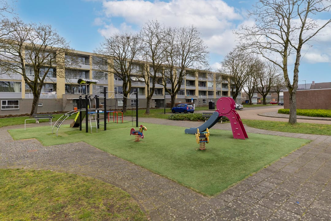 Photo 23 of Sirius 16