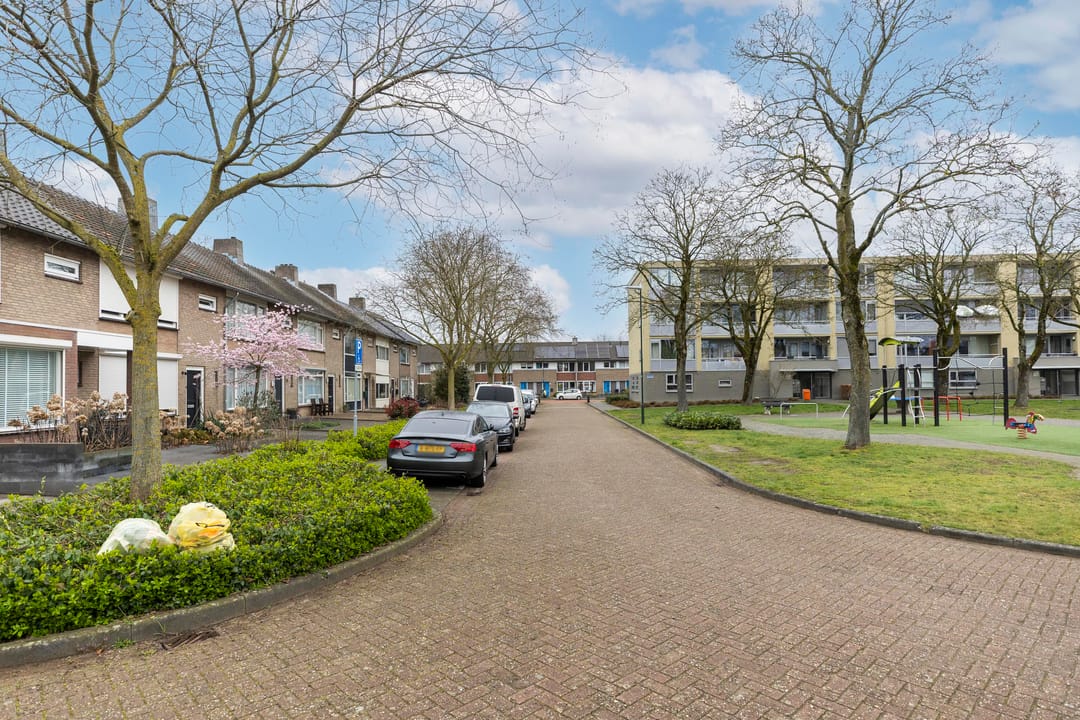 Photo 22 of Sirius 16