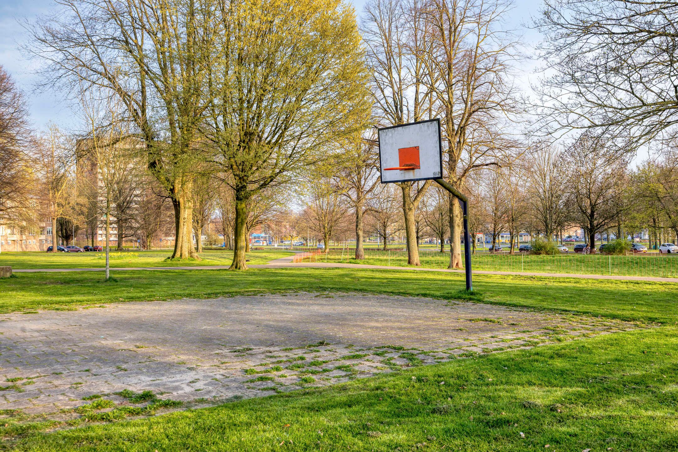 Photo 42 of Ermerikstraat 3