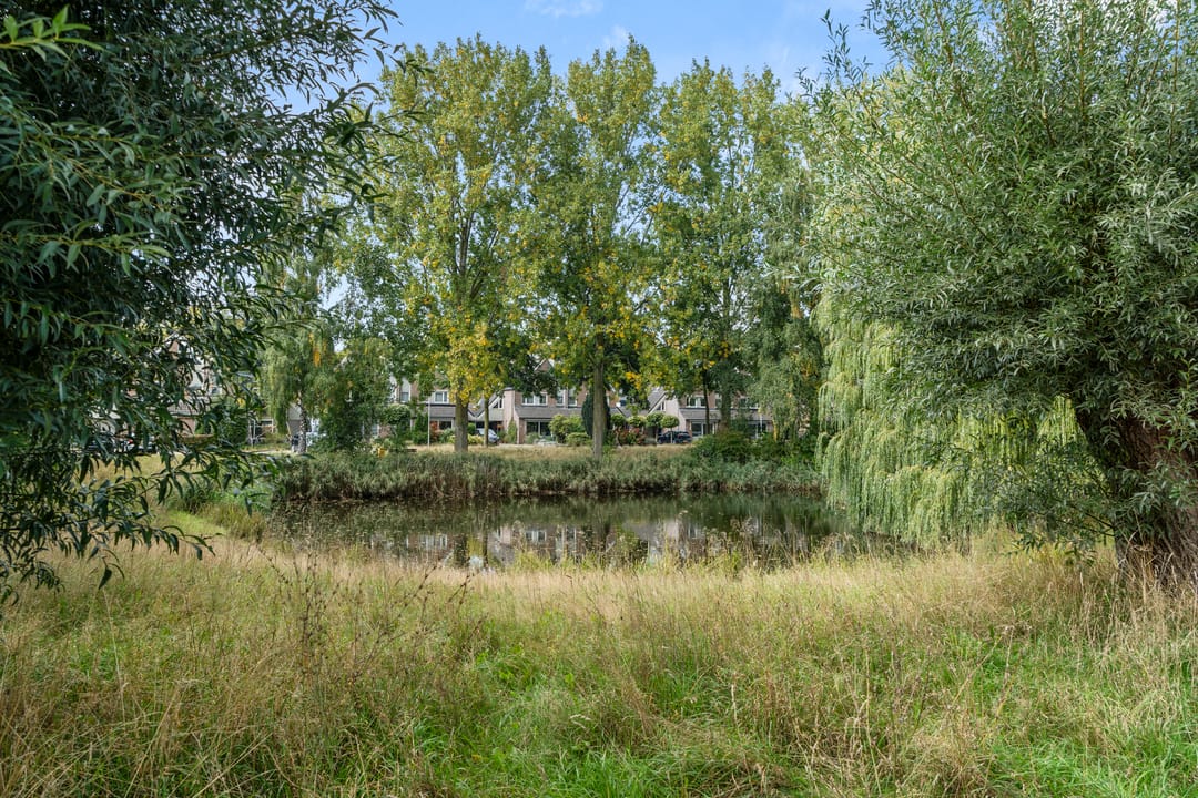 Foto 7 van Ereprijs 53