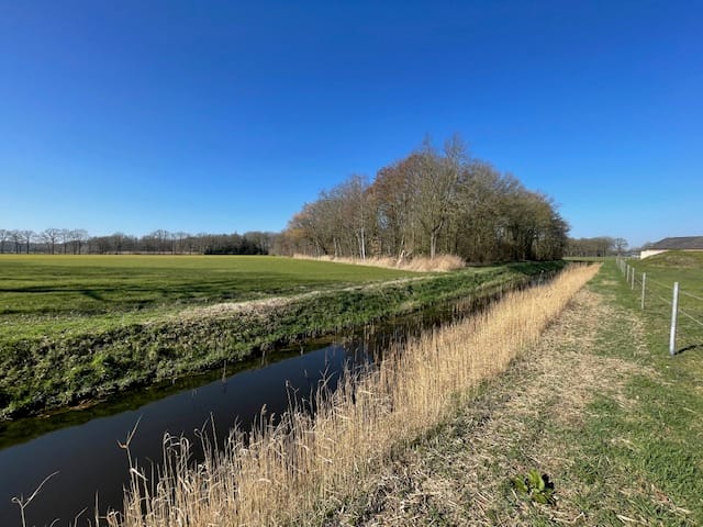 Foto 5 van Het Laar kavel 4