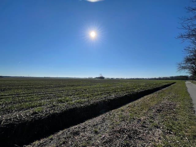 Foto 10 van Het Laar kavel 3