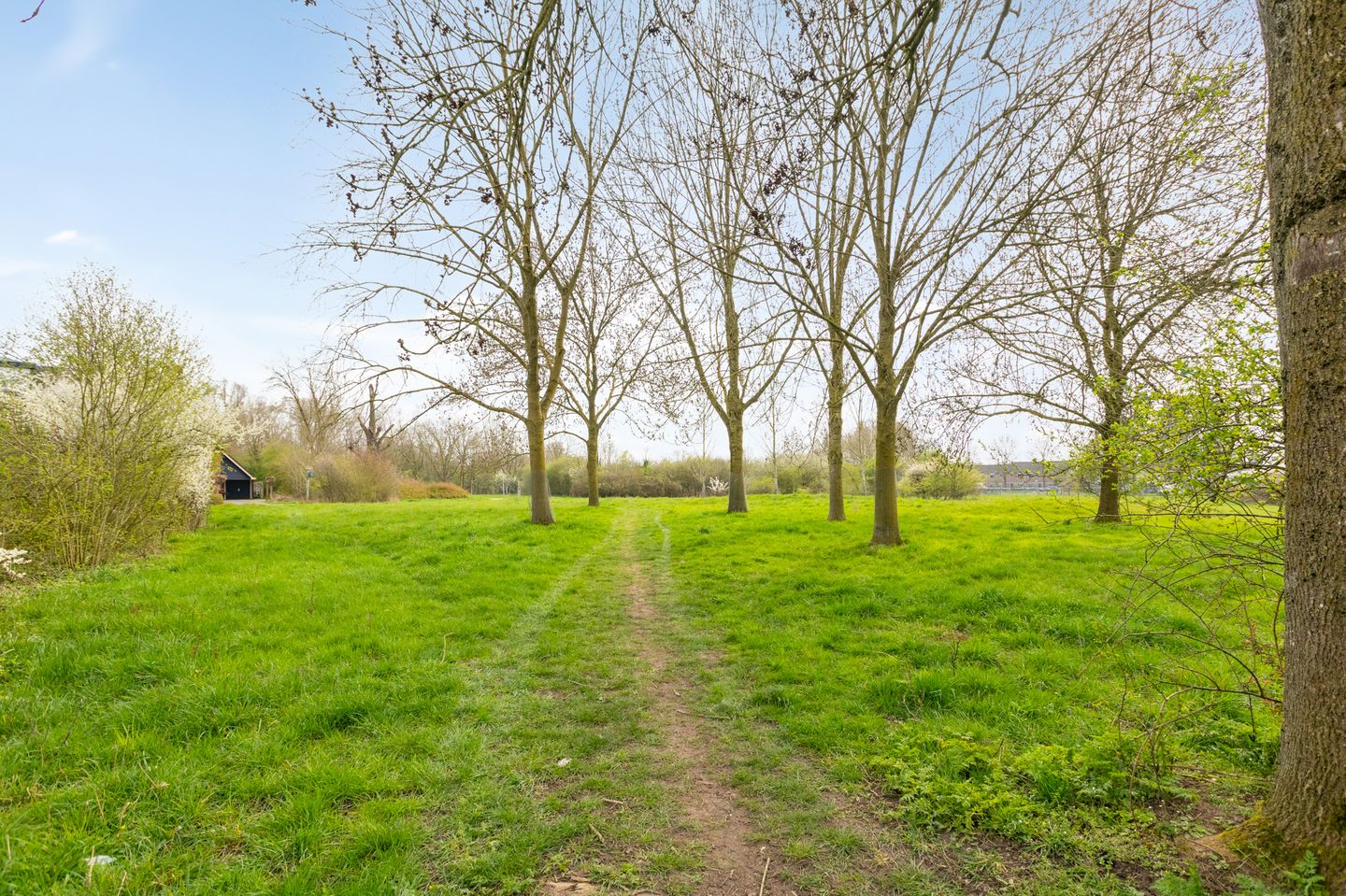 Foto 49 van Haverdreef 25