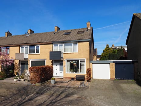 Adriaen van Ostadestraat thumbnail