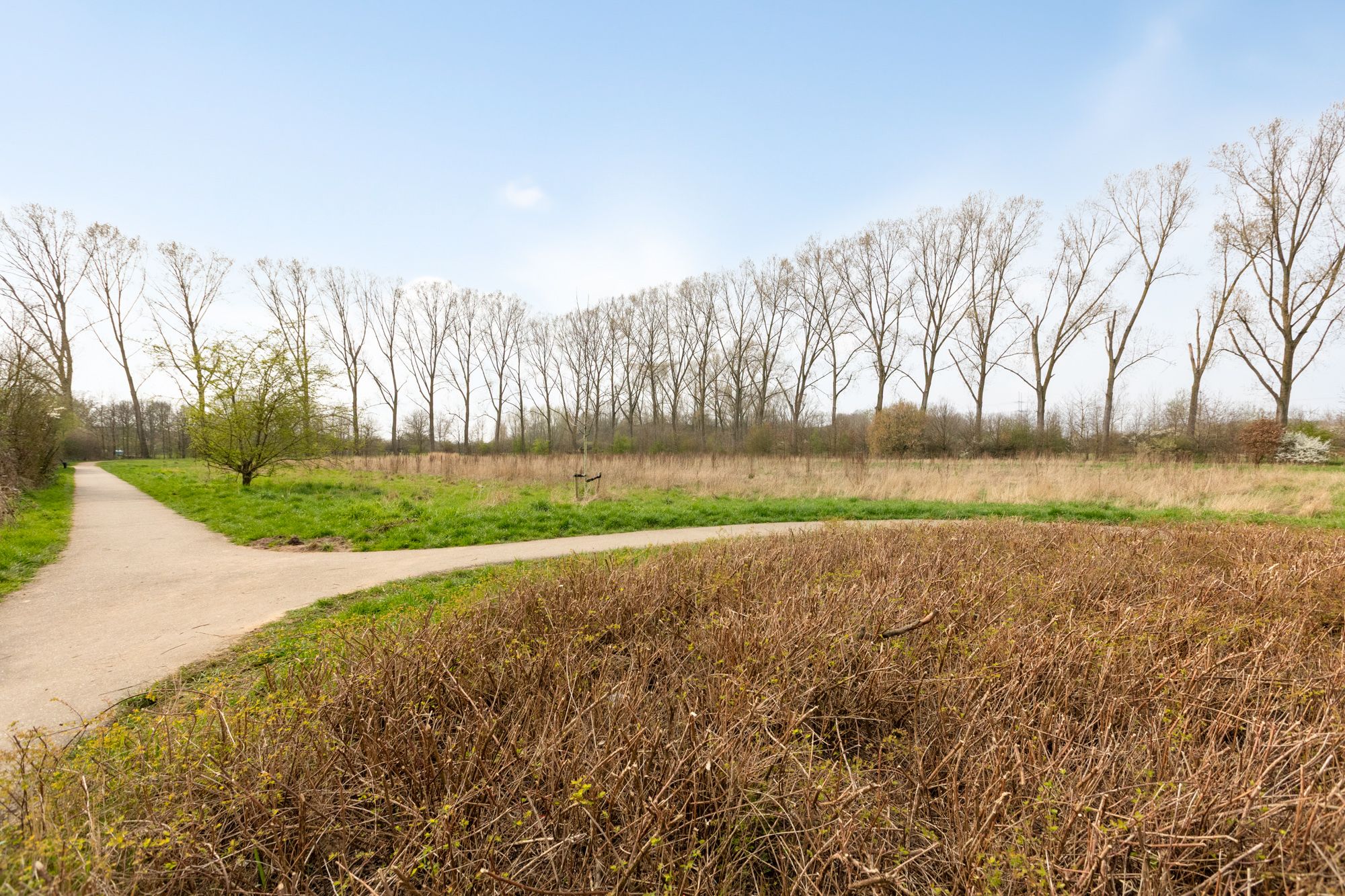 Foto 48 van Haverdreef 25