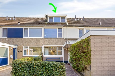 undefined main image