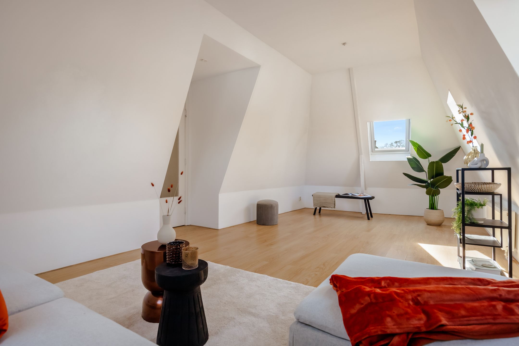 Foto 6 van Prinsenstraat 29-E