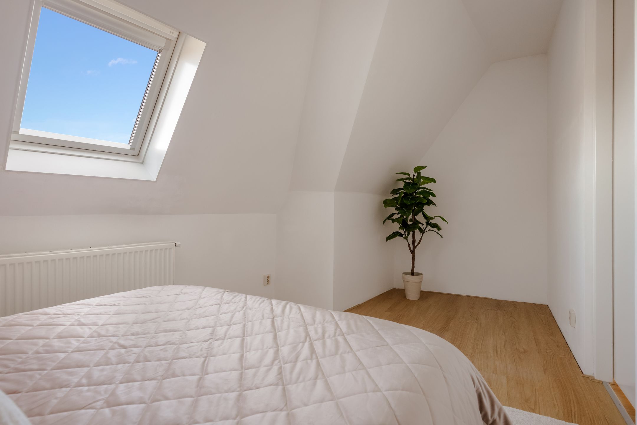 Foto 15 van Prinsenstraat 29-E