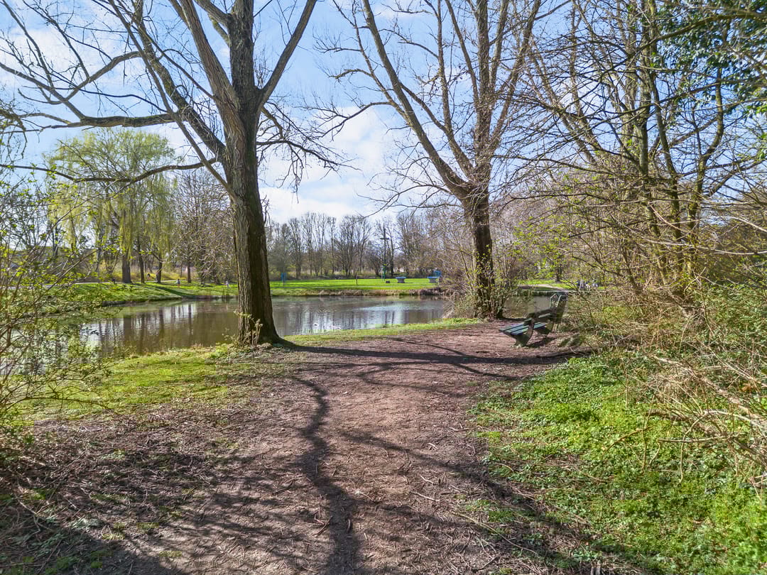 Foto 47 van Ceder 34