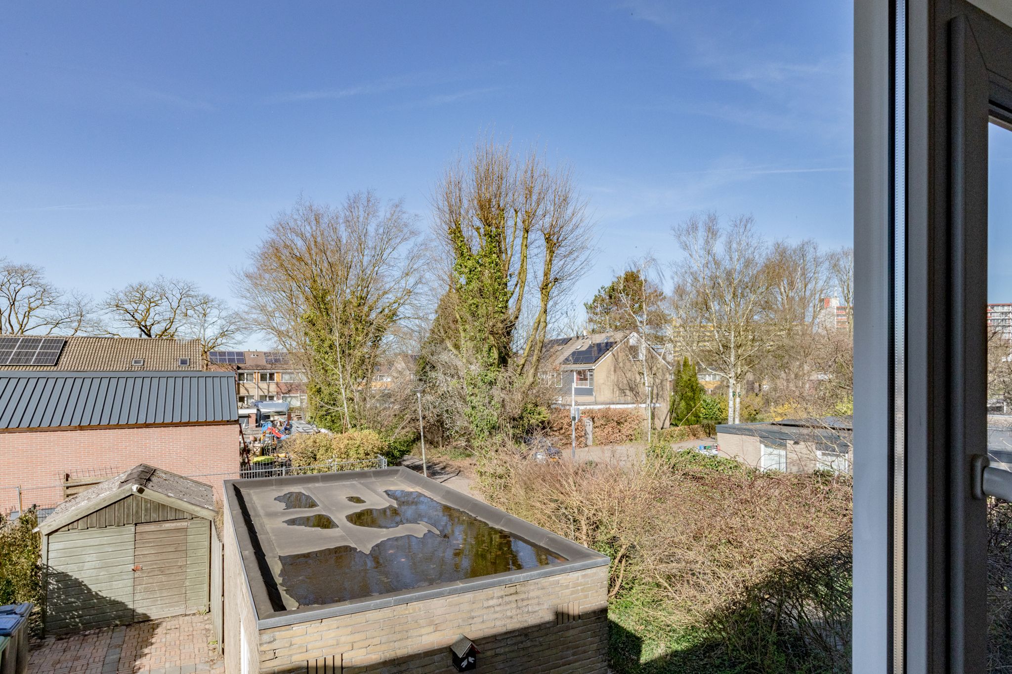 Foto 39 van Obrechtlaan 164