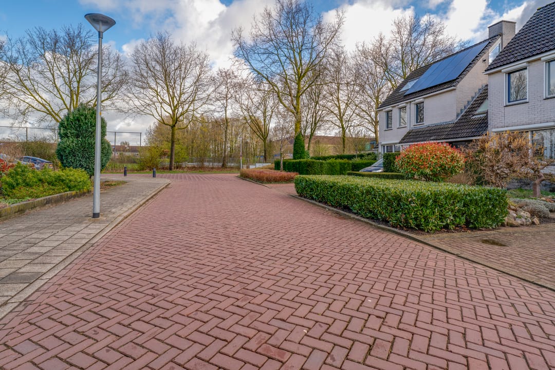 Foto 7 van Spinet 28