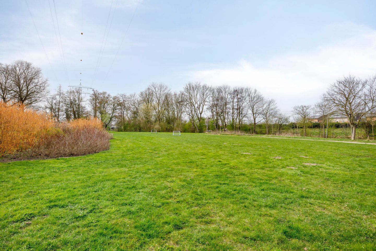 Foto 59 van Het Wedde 26