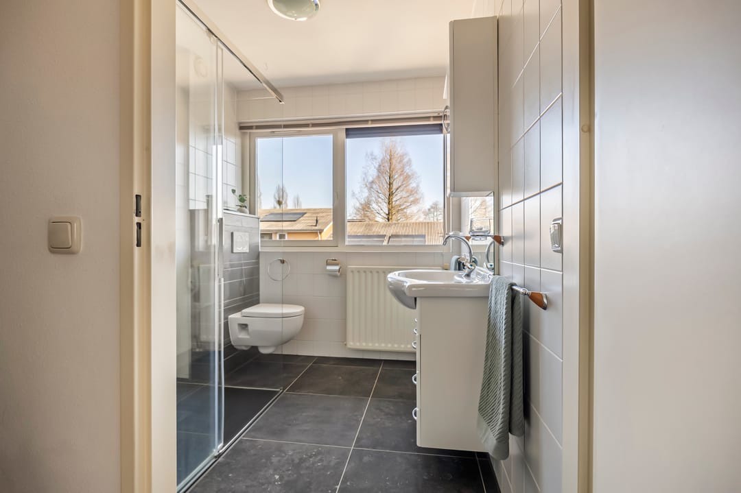 Photo 17 of Jip en Janneke 119