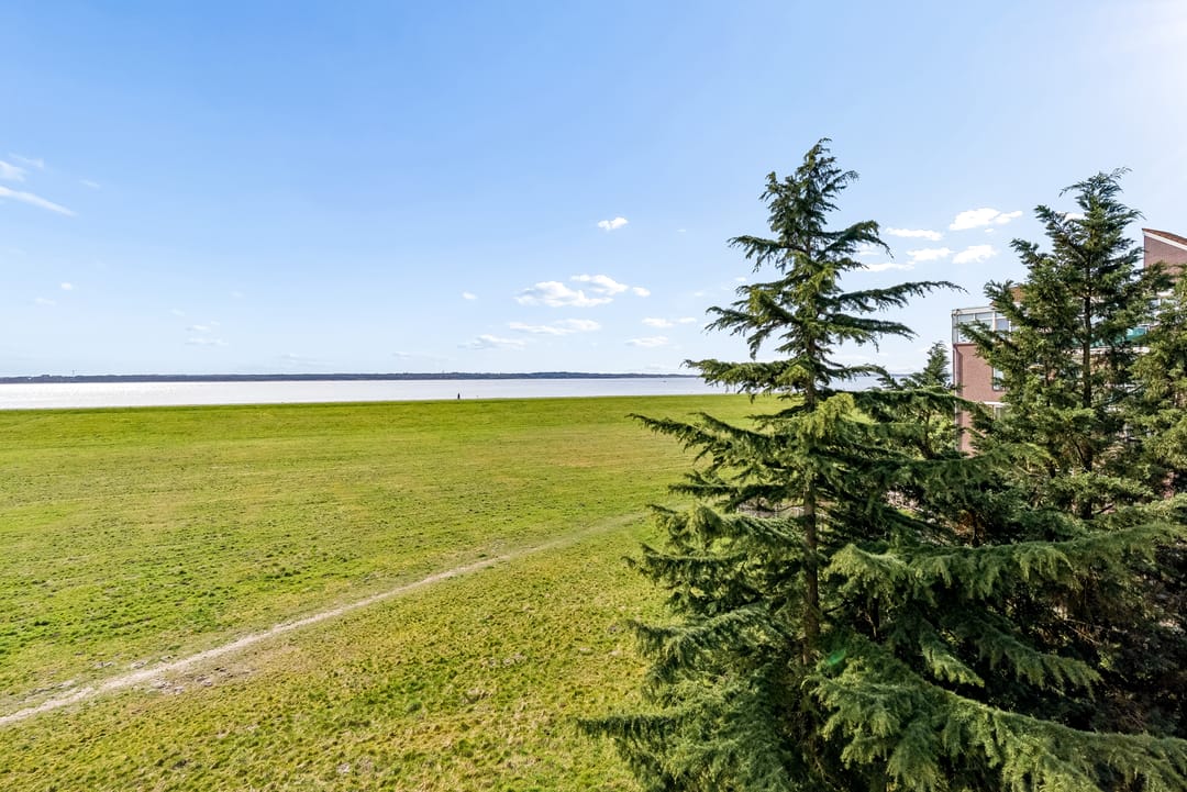 Photo 52 of Terpmeent 40