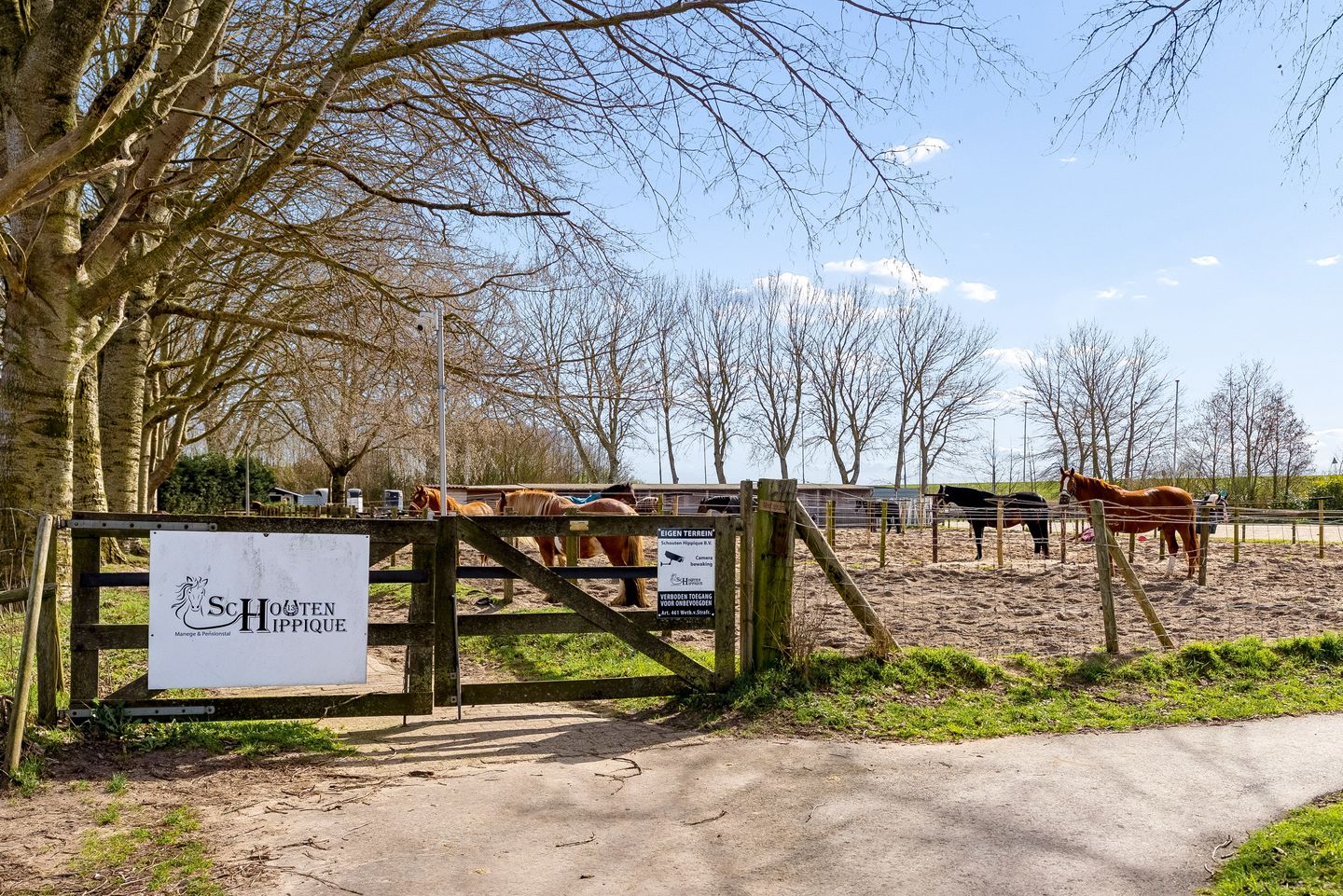 Photo 64 of Terpmeent 40