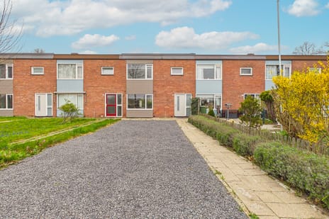 Bellamystraat thumbnail