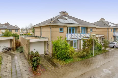 undefined main image