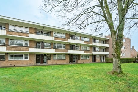Van der Waalsstraat thumbnail