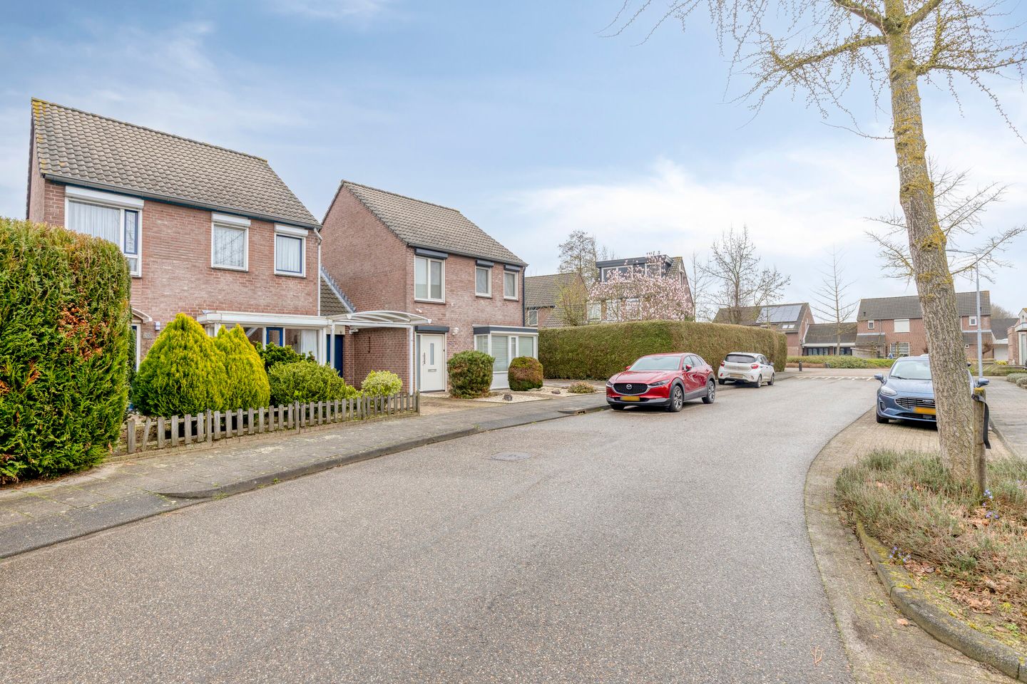 Foto 5 van Krekelzanger 98