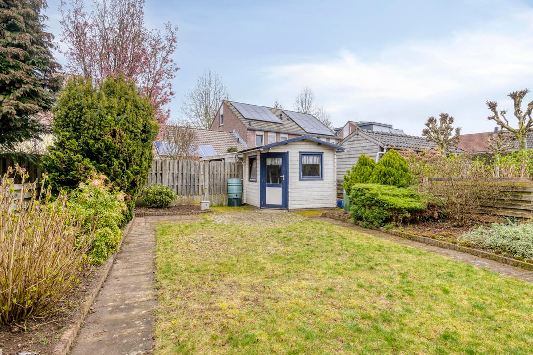 Foto 28 van Krekelzanger 98