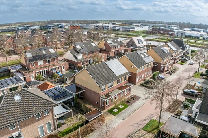 Foto 2 van Hondsdraf 1