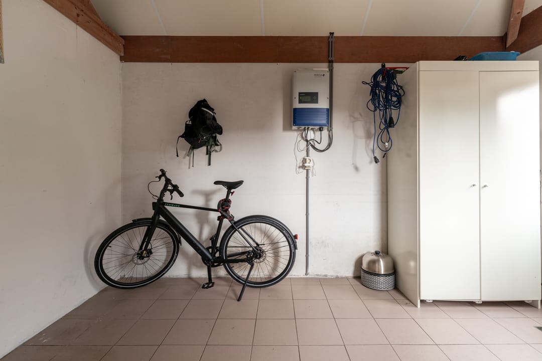 Foto 22 van Roodwilligen 87