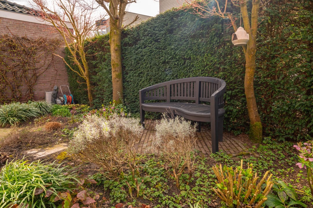 Foto 28 van Roodwilligen 87