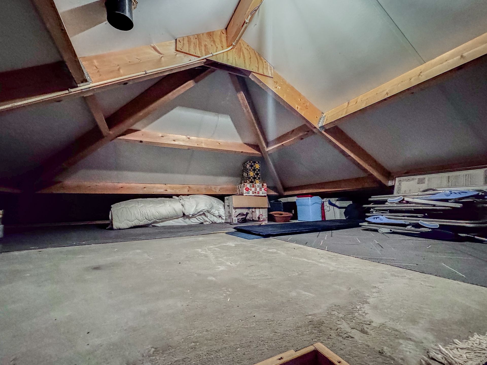 Foto 48 van Roodwilligen 87