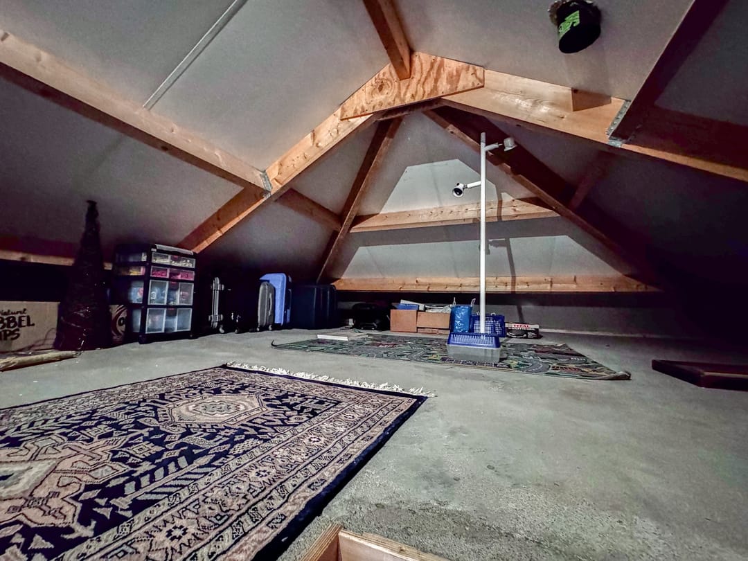 Foto 47 van Roodwilligen 87