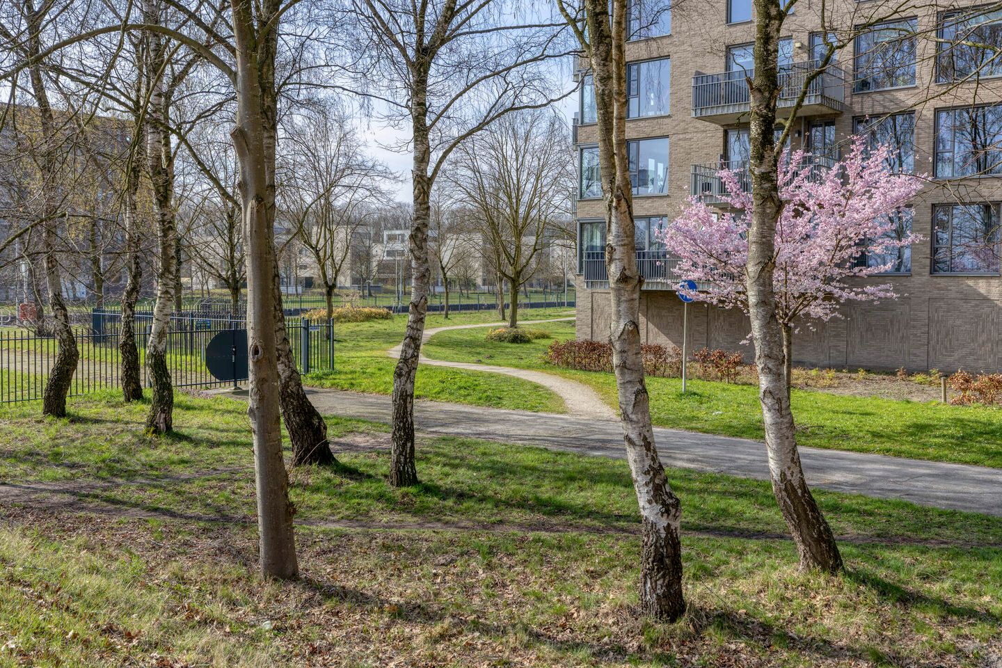 Foto 44 van Napoleonshoed 21