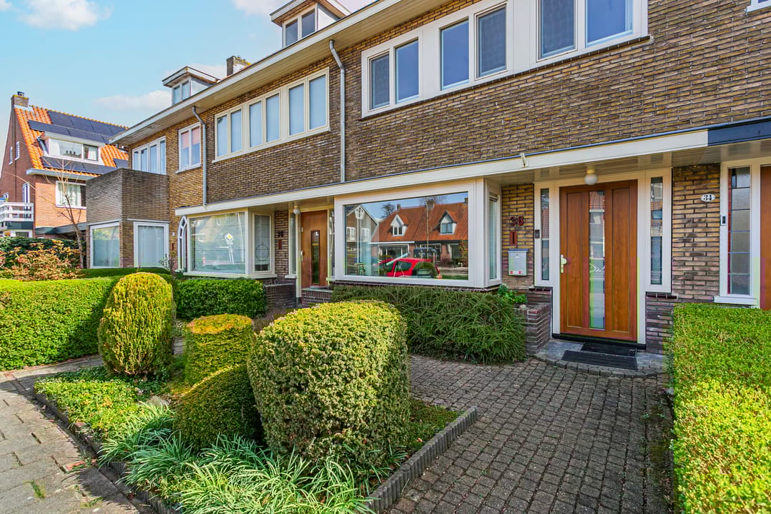 Foto 2 van Mr. Tripkade 36