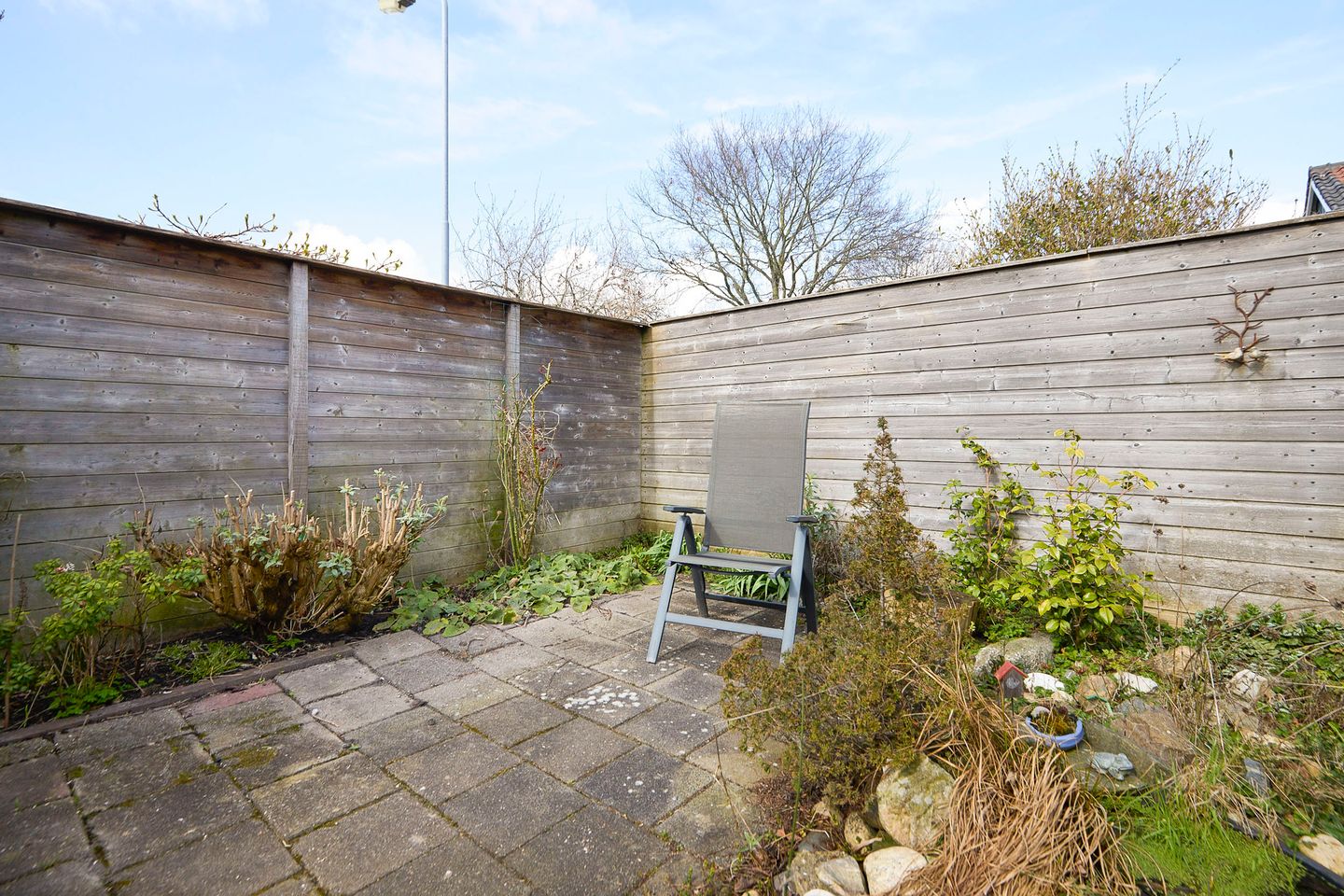 Foto 49 van Zuiderpad 48