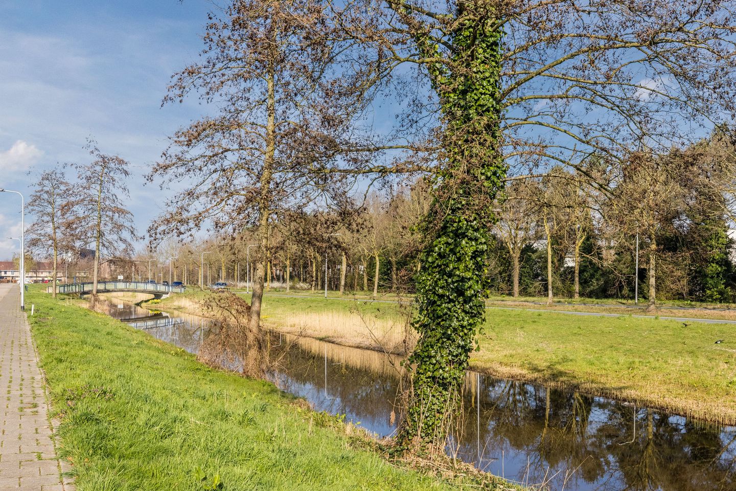 Foto 29 van Overlangelstraat 8