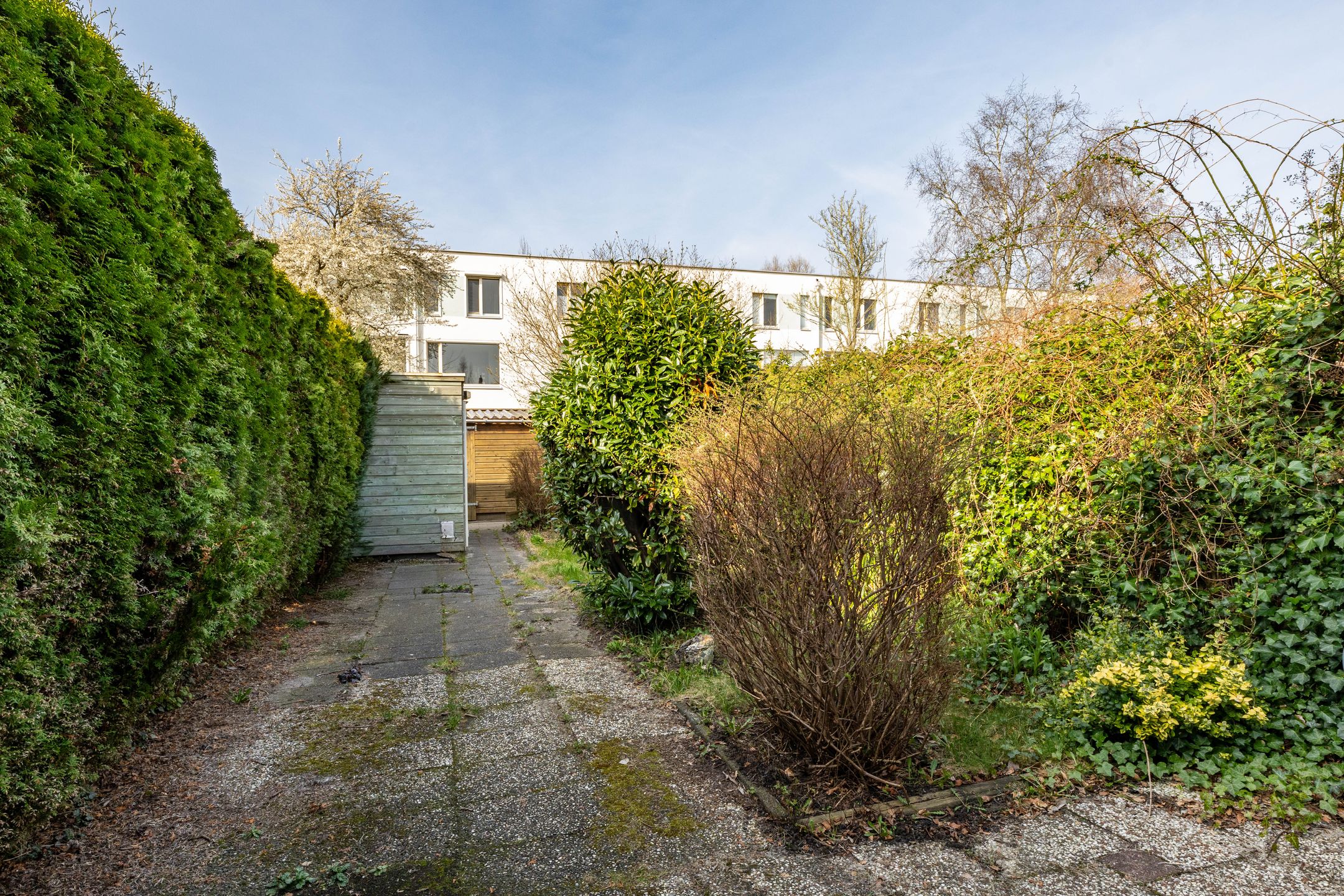 Foto 21 van W.L.S. Churchillstraat 13