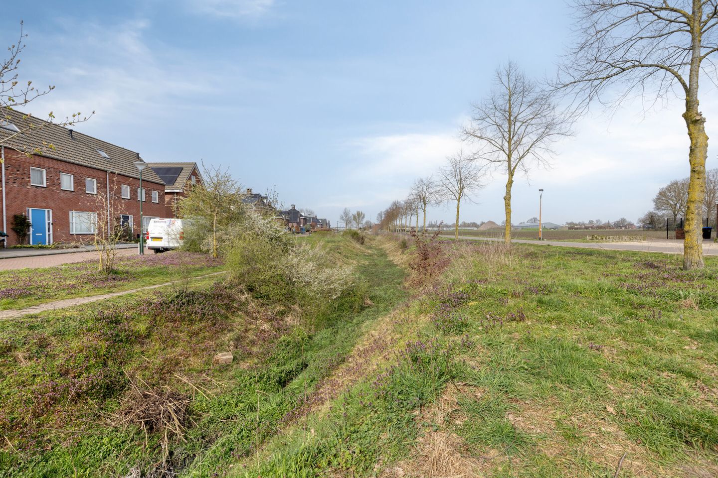 Foto 35 van Dotterbloem 1