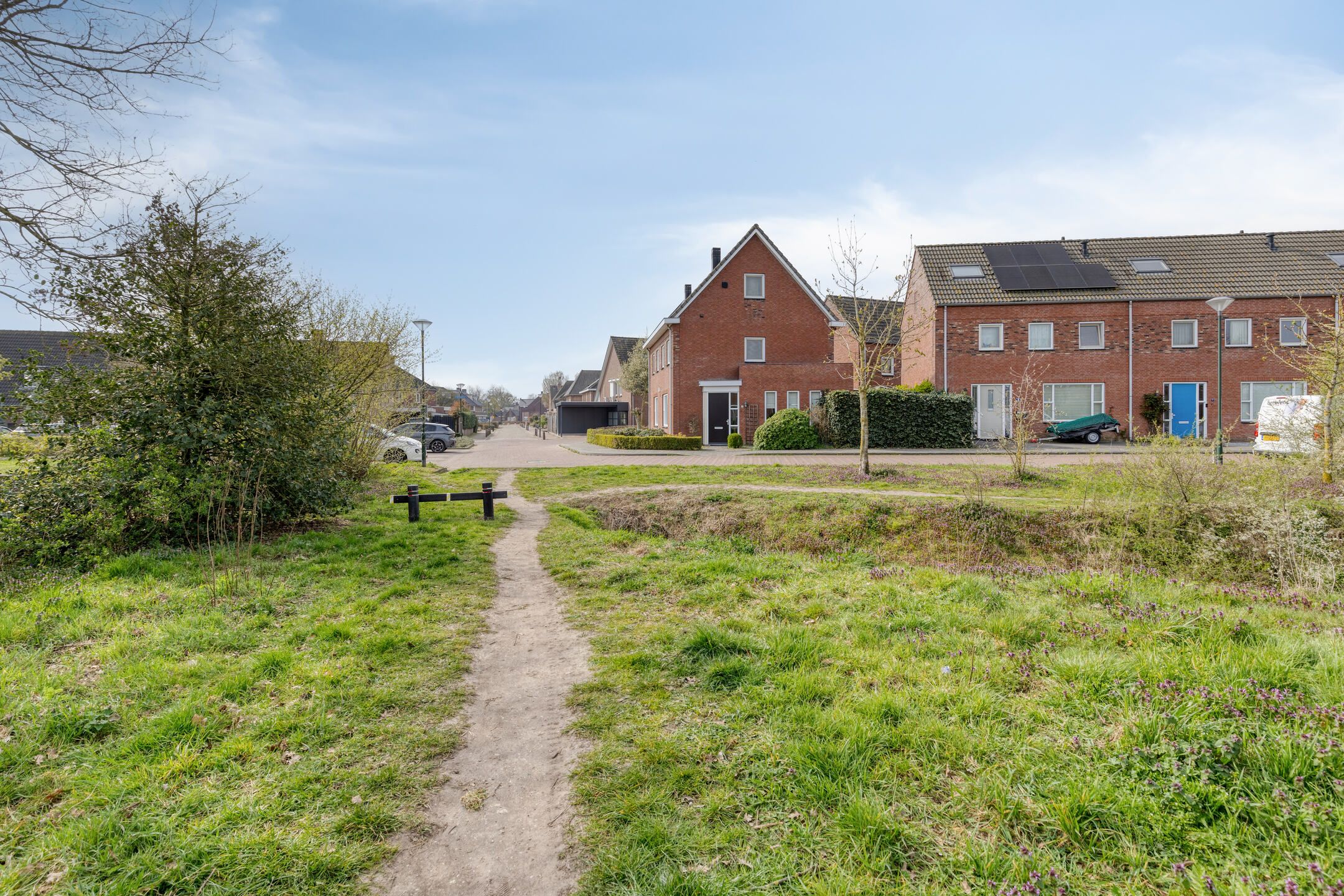 Foto 36 van Dotterbloem 1