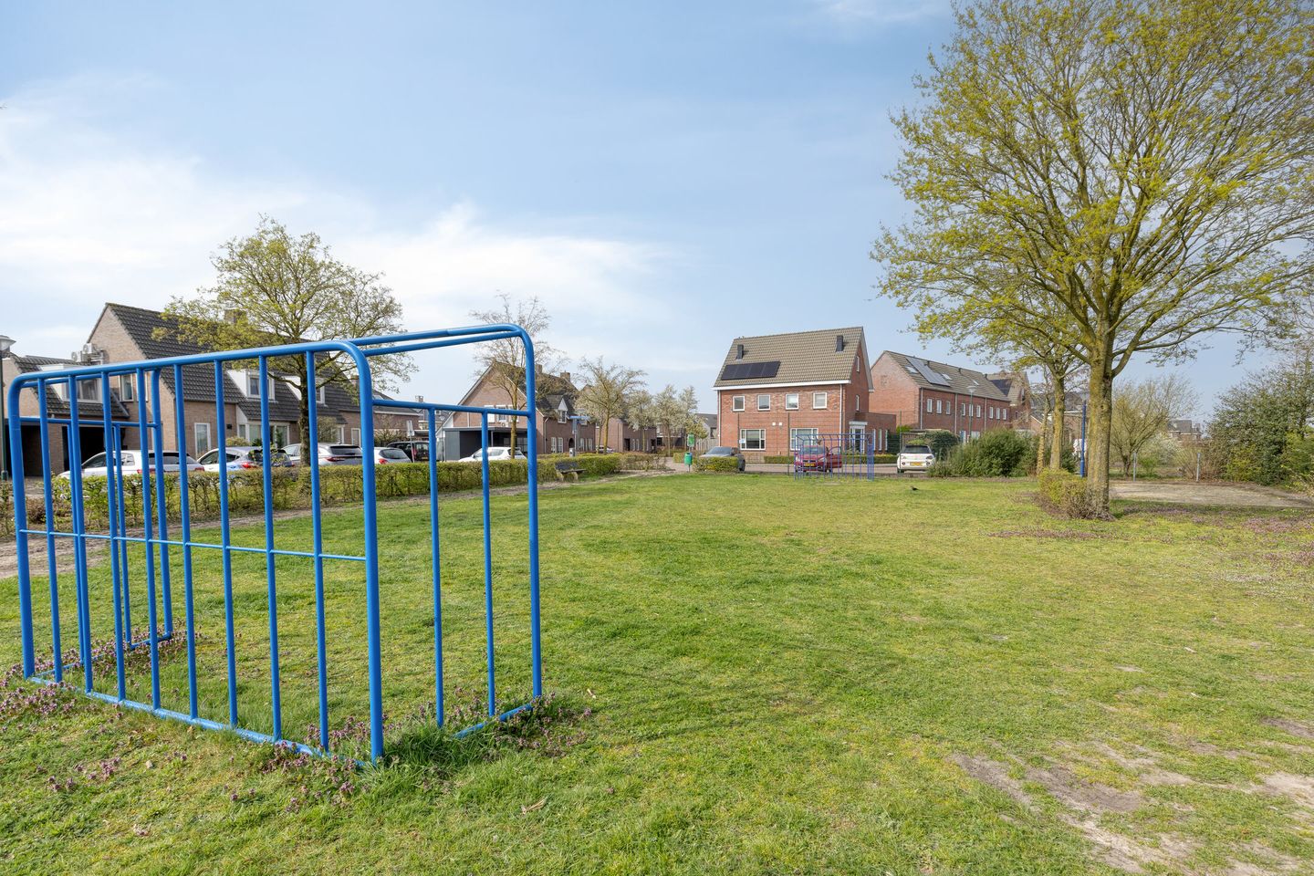 Foto 34 van Dotterbloem 1