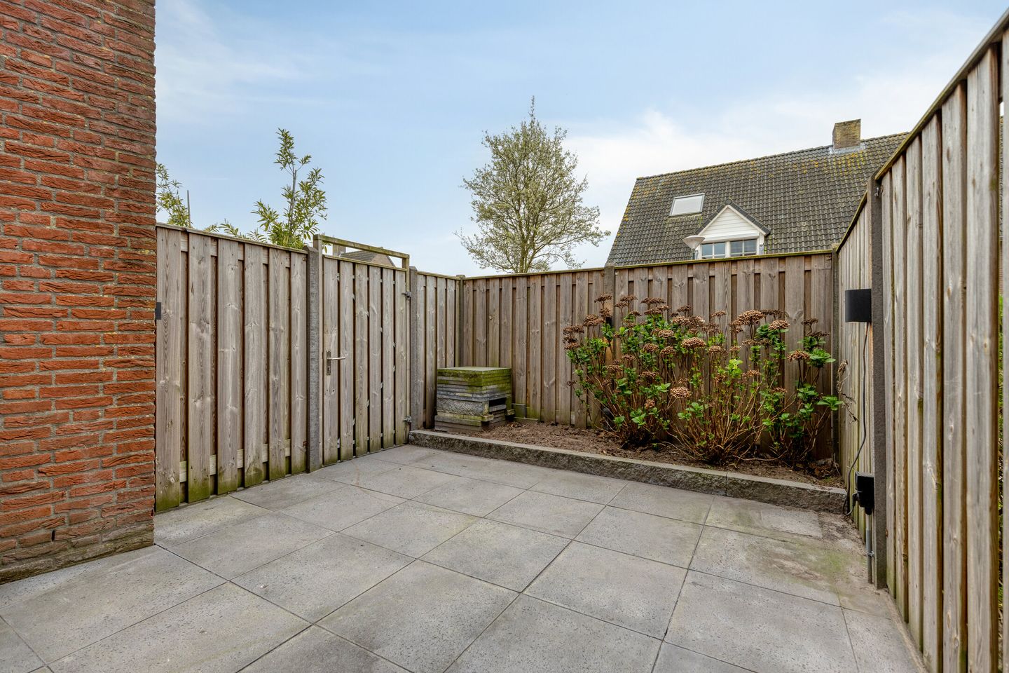 Foto 5 van Dotterbloem 1