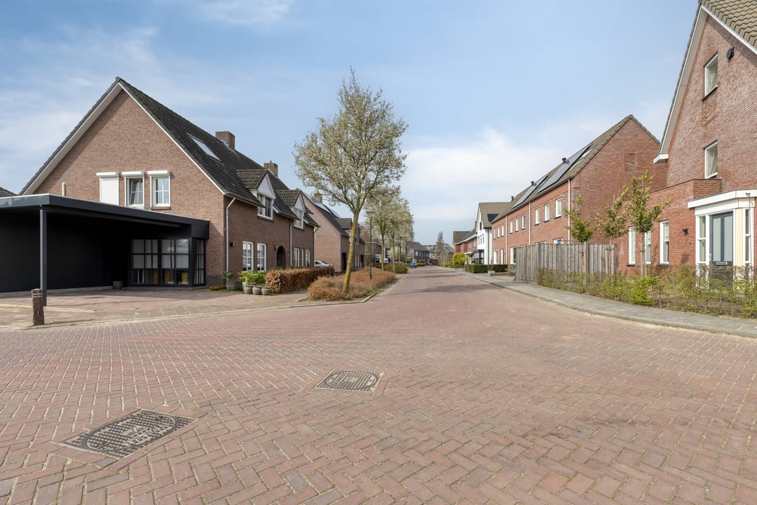 Foto 8 van Dotterbloem 1