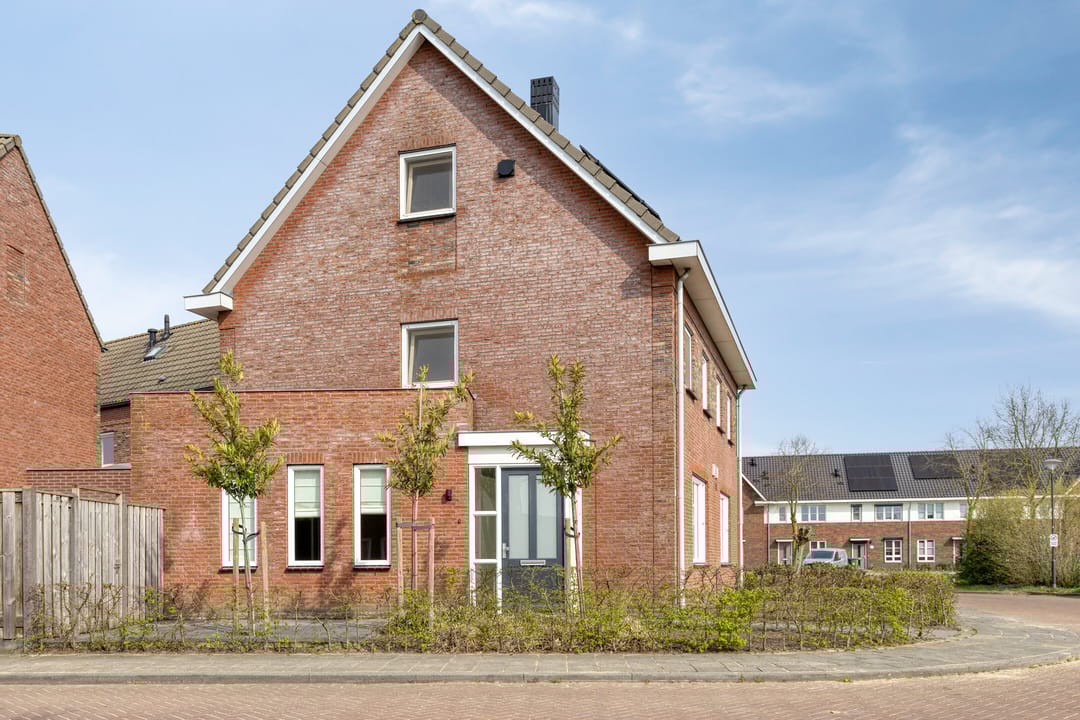 Foto 7 van Dotterbloem 1