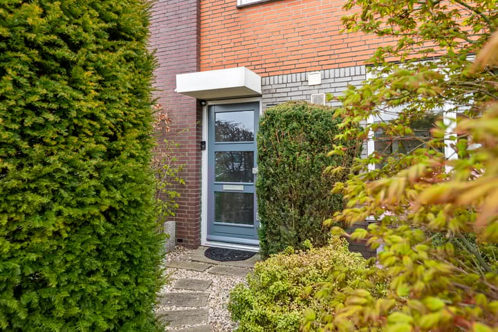 Foto 4 van Goudhaver 2