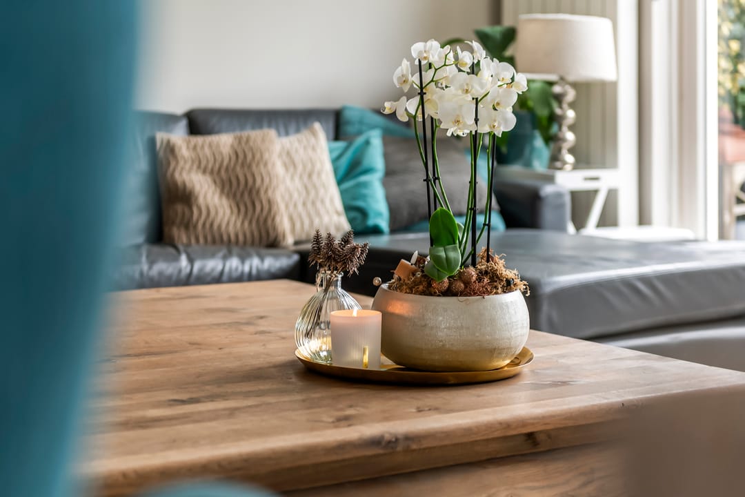 Foto 17 van Goudhaver 2