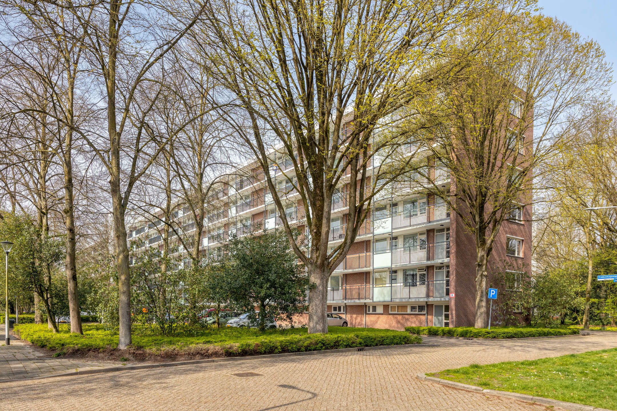 Foto 30 van Professor Cobbenhagenlaan 572