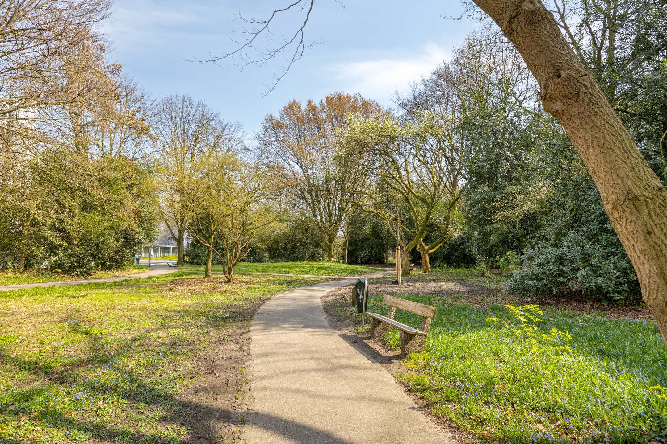 Foto 33 van Professor Cobbenhagenlaan 572