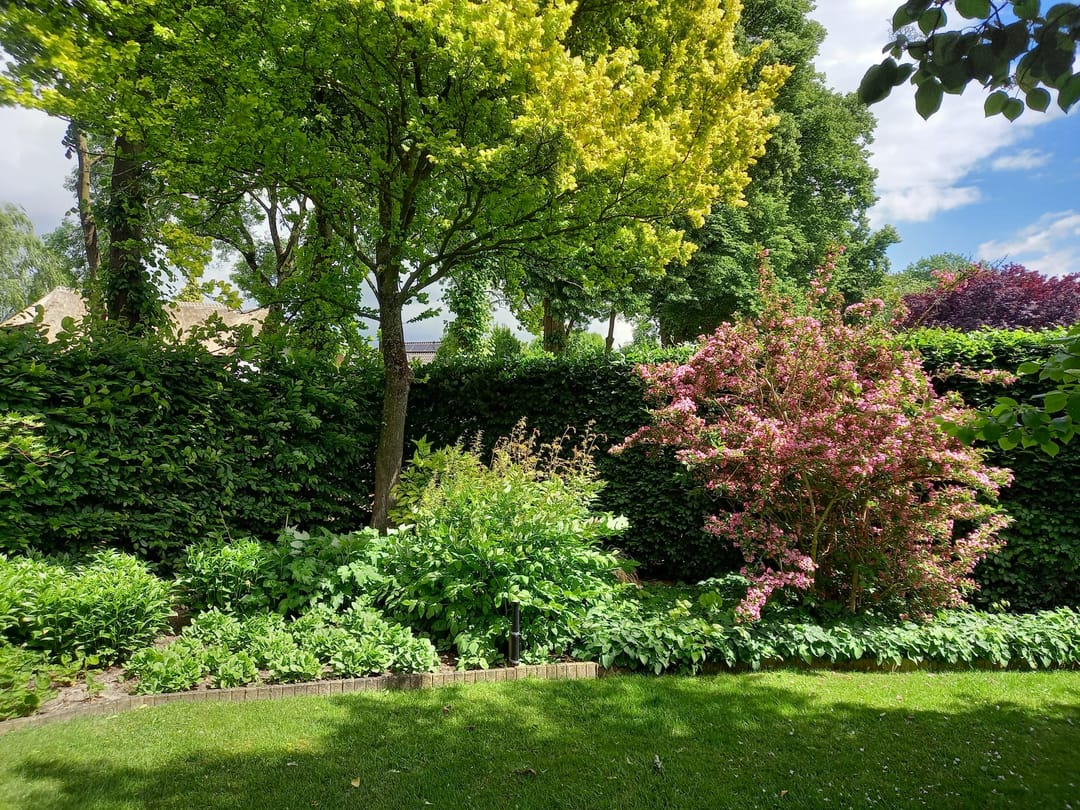 Photo 61 of Heerbaan 189