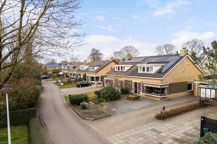 Foto 4 van Jan Flintermanloane 4