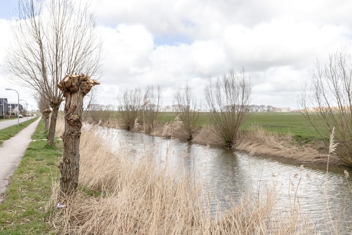 Photo 2 of Het Noorderlicht 58