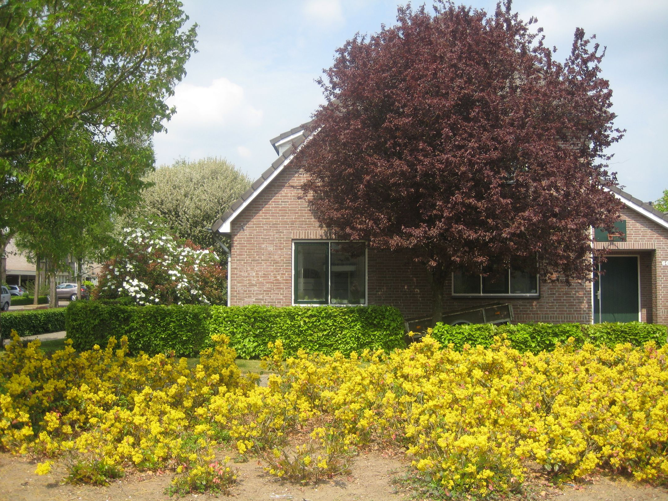 Spacious detached family home with 6 bedrooms and large garden in Cuijk — 55
